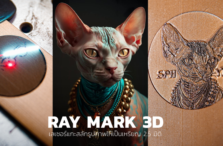 เลเซอร์แกะสลักรูปภาพให้เป็นเหรียญ 2.5 มิติ ด้วย RayMark3D